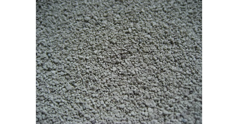 Zéphirine Drouhin main image 1